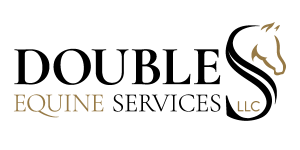 TheDoubleS Logo TextPaths Nov 2025.png (21594 bytes)